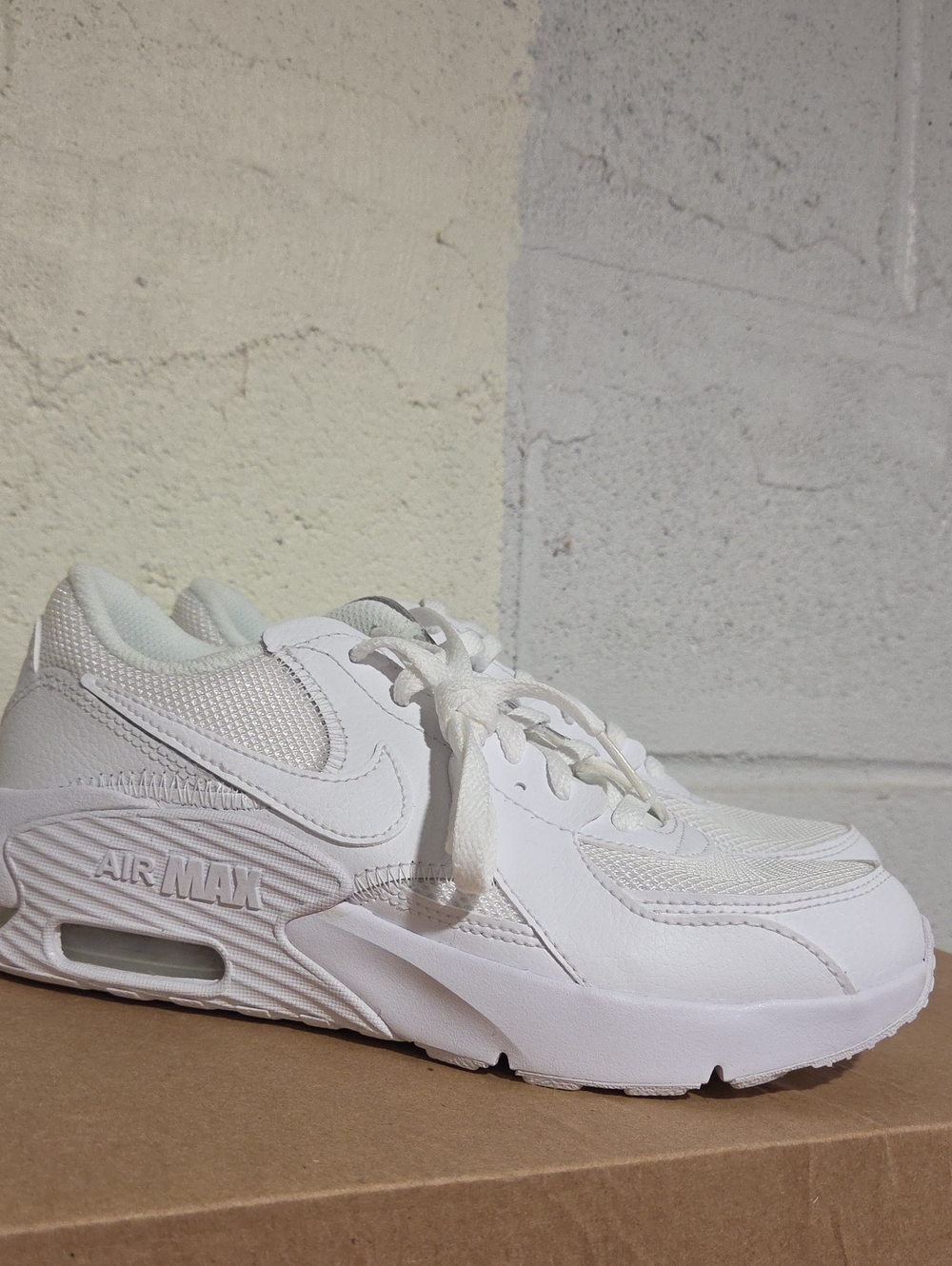Nike White Air Max Low-Top Sneakers